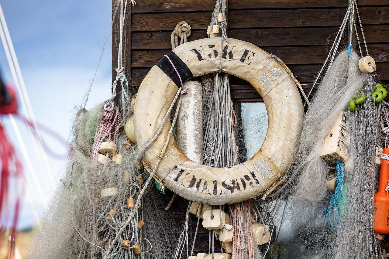 疯狂原始人2:智学习APP详情下载教程