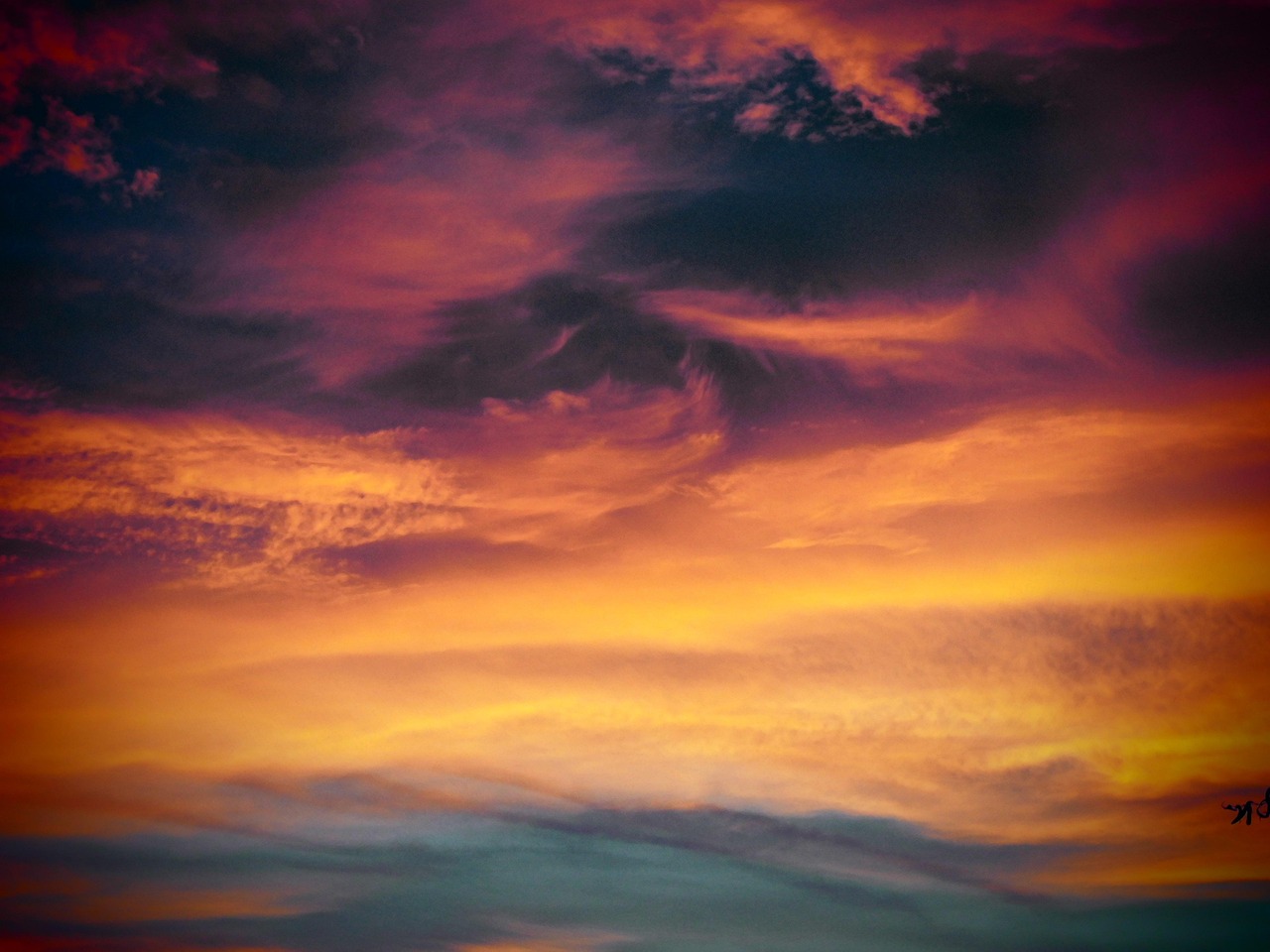 蔚来账号怎么注册