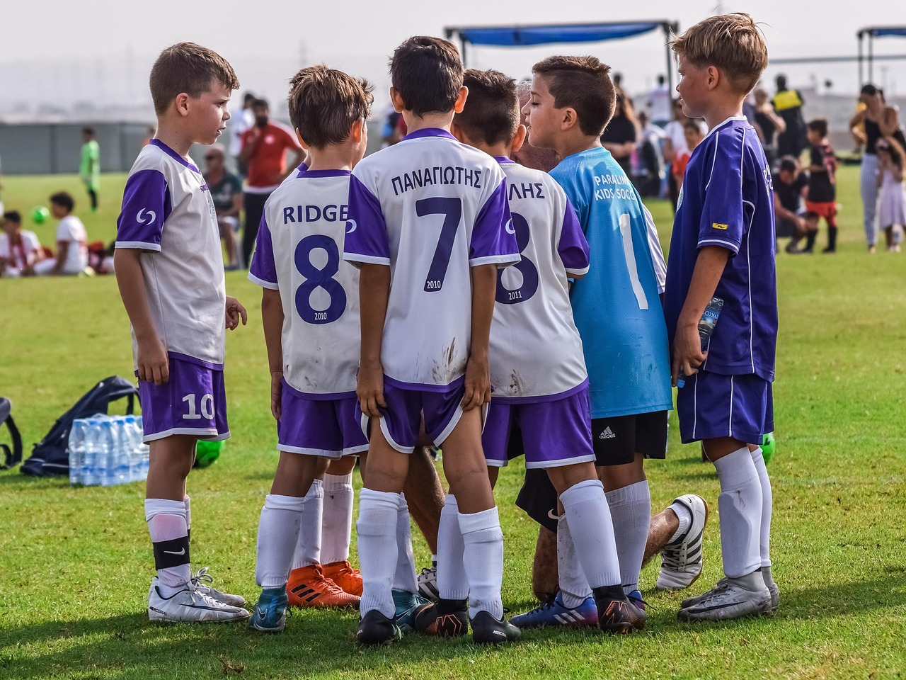 香烟与尼古丁的关系和成分